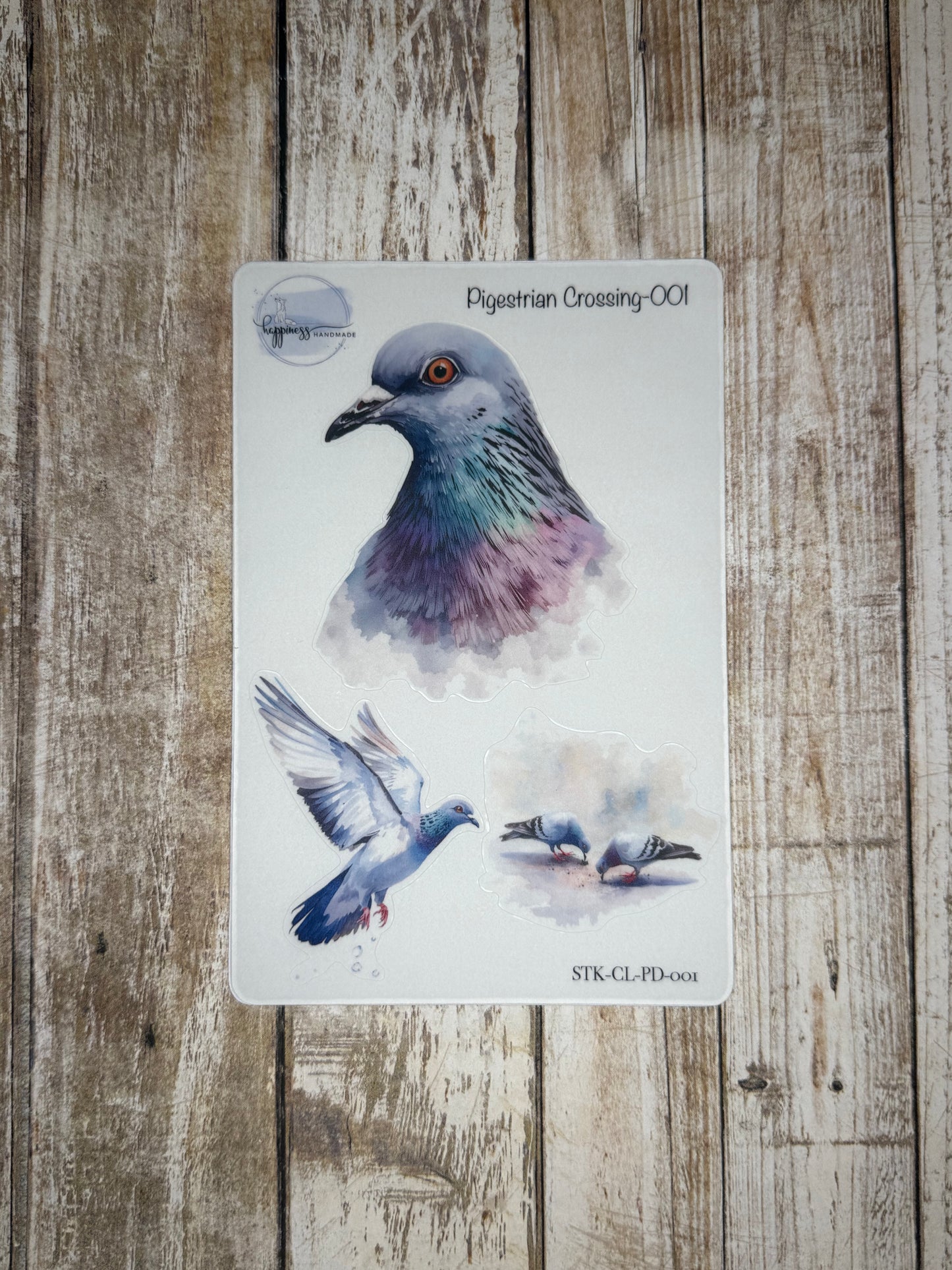 Pigestrian Crossing-001